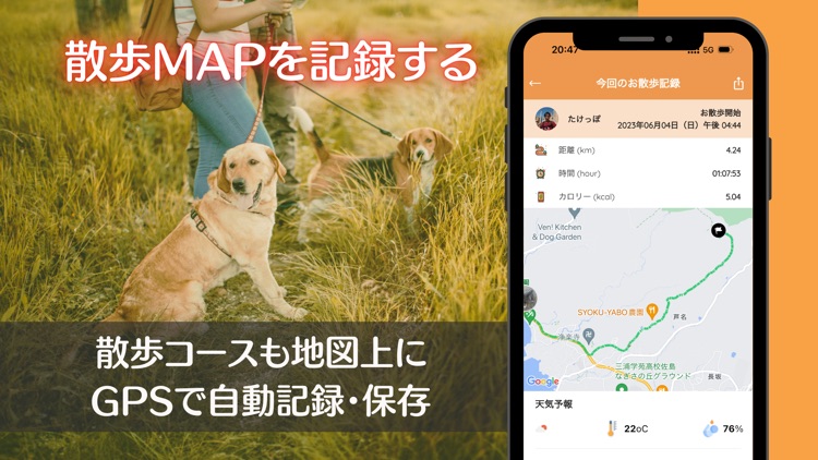 Pet Pilala screenshot-8