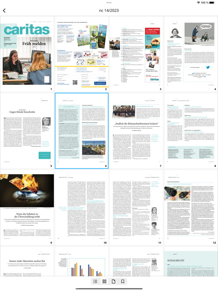 neue caritas