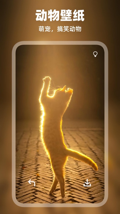 壁纸大全 : 超高清手机主题墙纸大全 screenshot-6