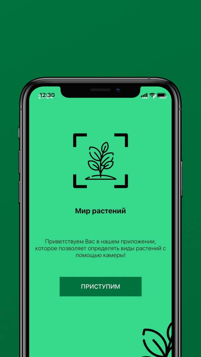 Мир растений