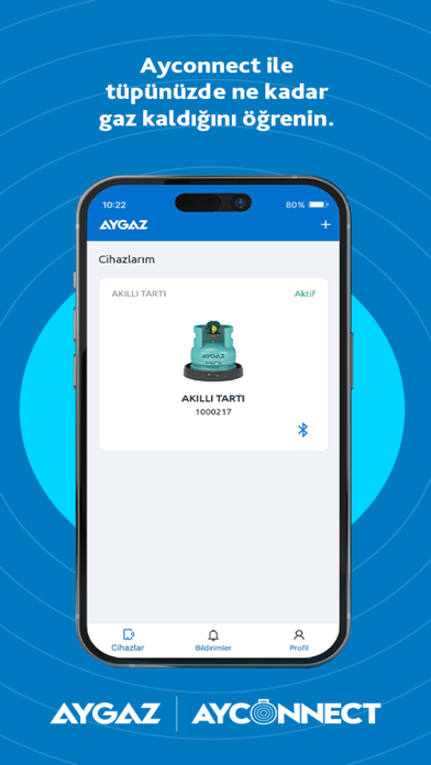 AyConnect Screenshot