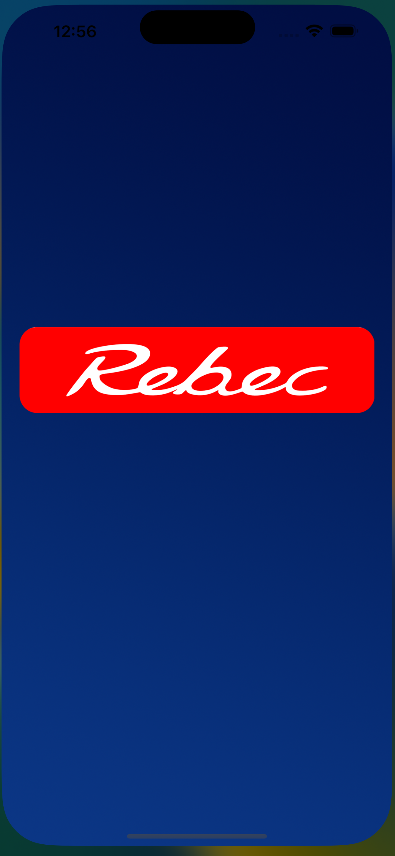 Rebec DSP