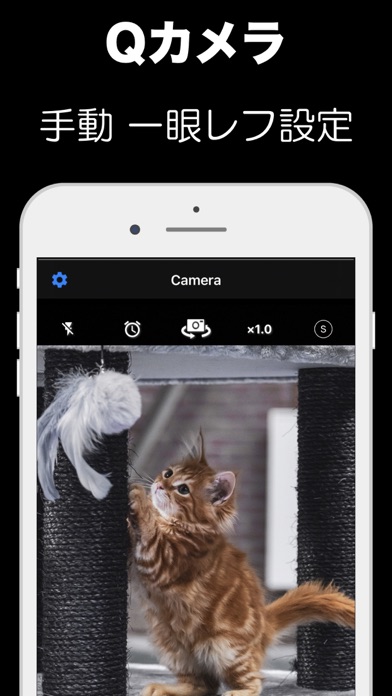 Qカメラのおすすめ画像1