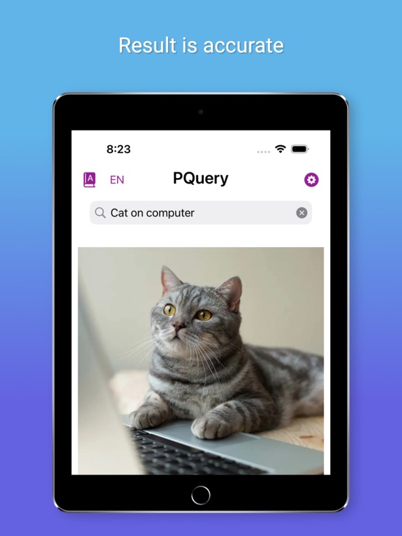 PicQuery-AI Photo finder iPad screenshot 4 - Photo & Video app