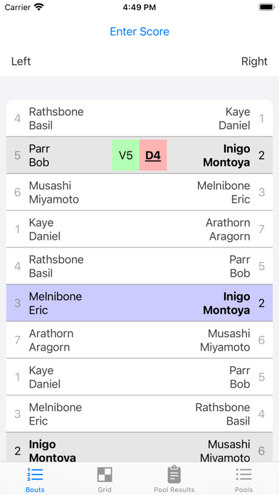 FencingPool Screenshot