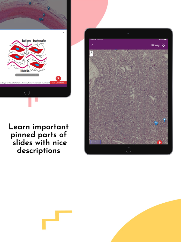 Ehistolab - Histology Slides