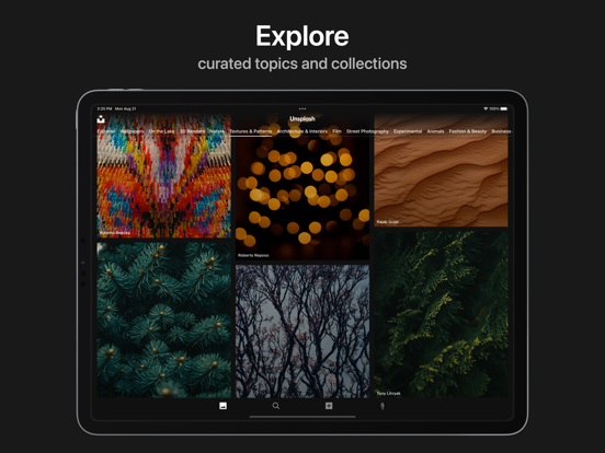 Unsplash iPad app afbeelding 2