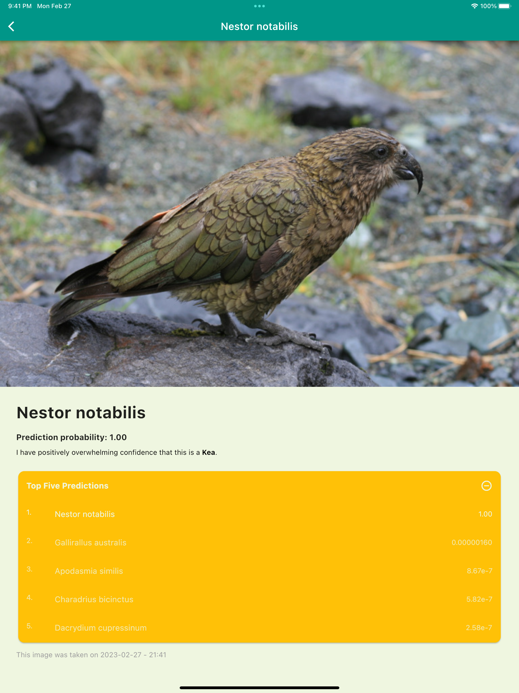 Aotearoa Species Classifier