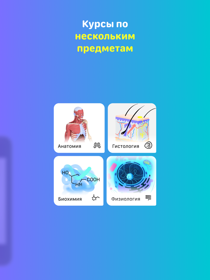 Учи Мед Учи Анат