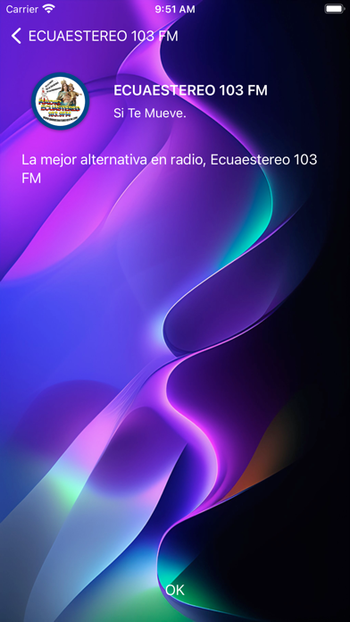 ECUAESTEREO 103 FM Screenshot