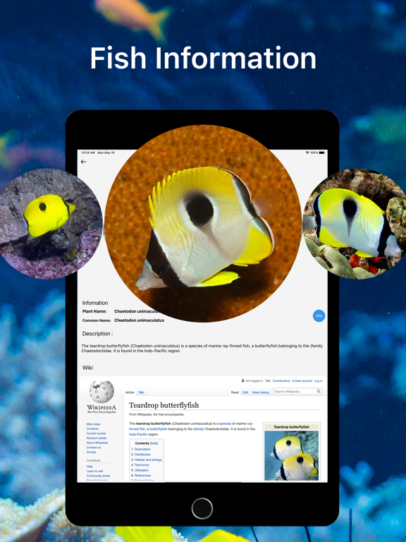 Fish 魚図鑑, 魚 判別, 釣り具ブンブン, フィッシュのおすすめ画像4