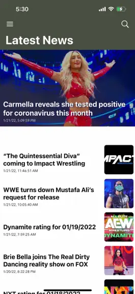 Game screenshot Wrestling-Online.com apk