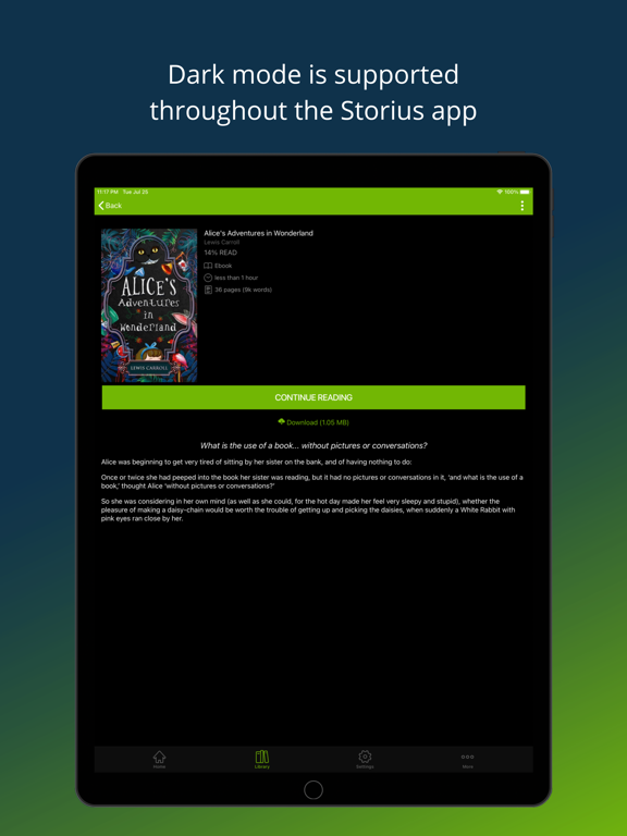 Storius Reader iPad screenshot 6 - Book app