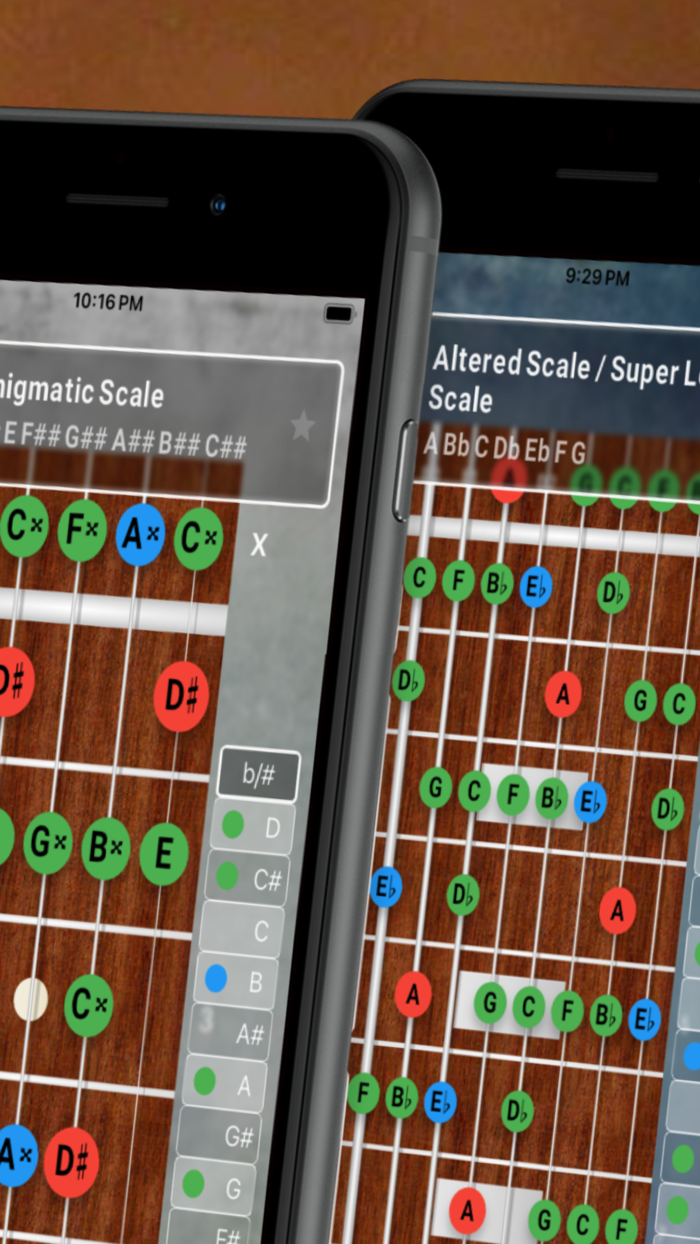 FretBoard Chords and Scales
