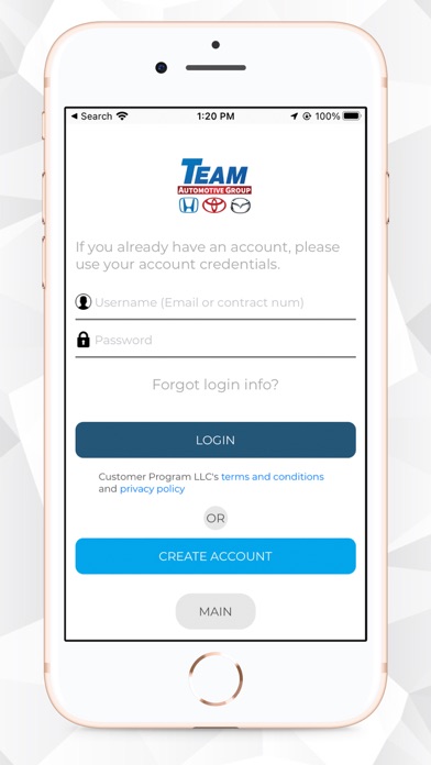 Team Auto Care Screenshot