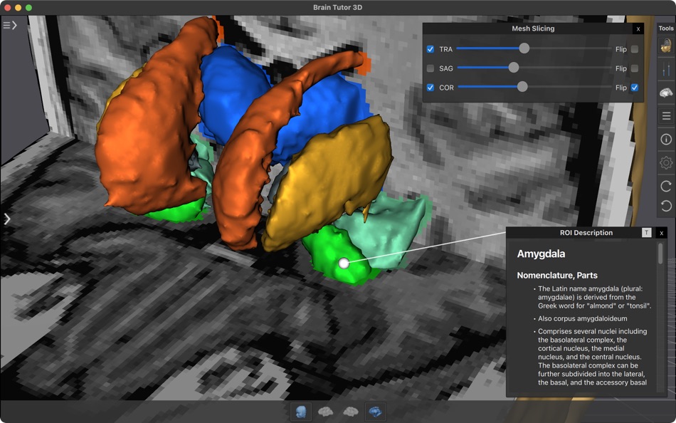 #5. Brain Tutor (macOS) 由: Rainer Goebel