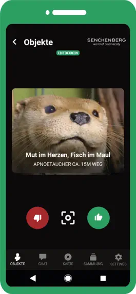 Game screenshot Mein Objekt - Senckenberg mod apk