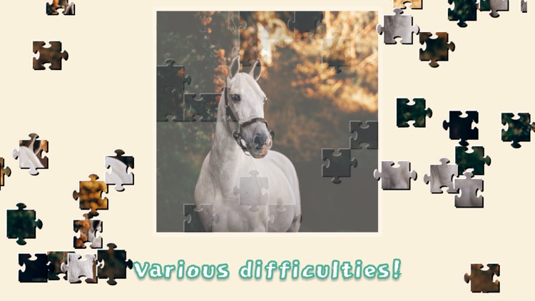 Horses Mania Jigsaw Puzzles