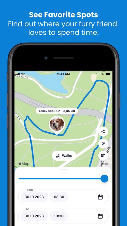 Tractive GPS for Dogs and Cats