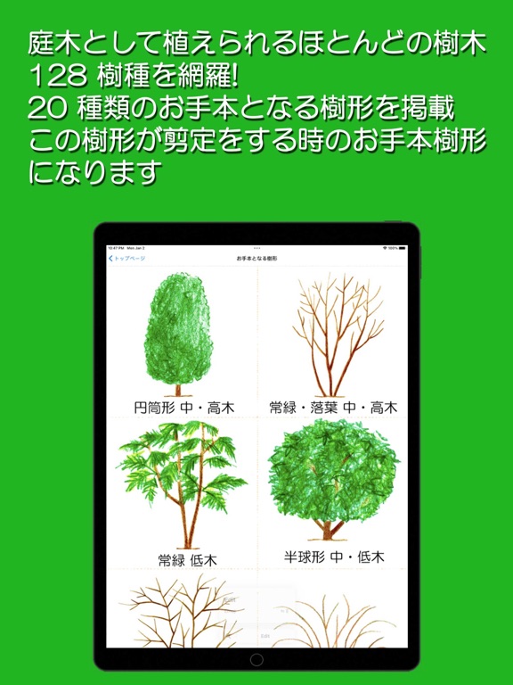 Screenshot #4 pour 剪定の時期とポイントとお手本樹形