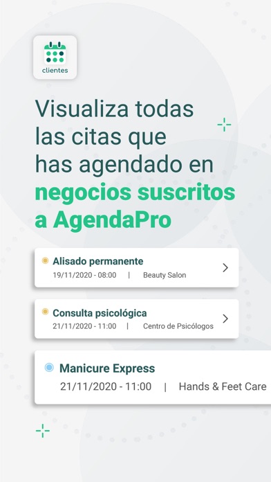 AgendaPro Clientes Screenshot