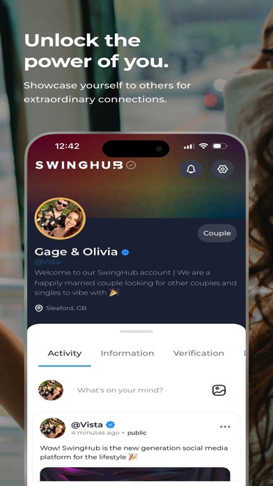 SwingHub Screenshot