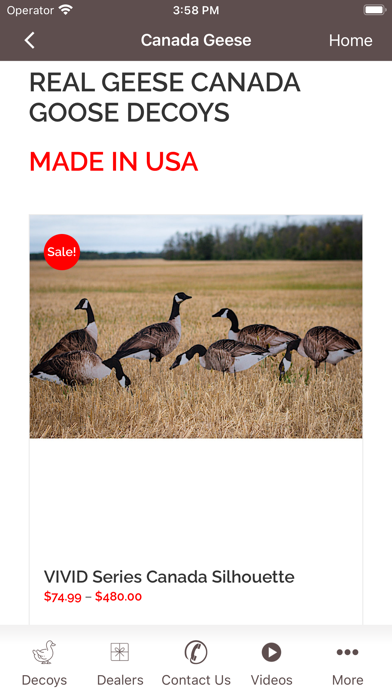REAL-GEESE DECOYS Screenshot