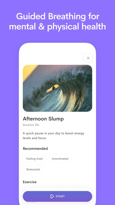 Alan Mind Daily Journal Screenshot