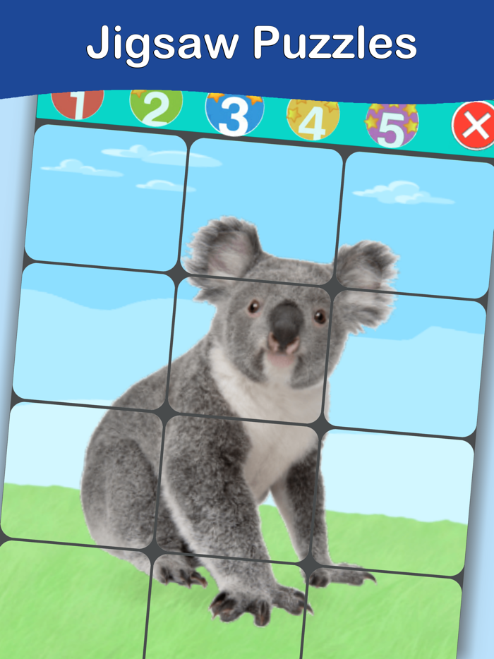 Animals Cards PRO