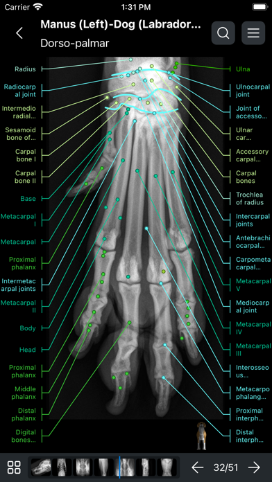 vet-Anatomy screenshot1