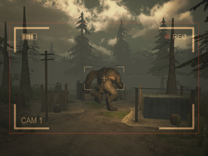 Forest Bigfoot Hunting