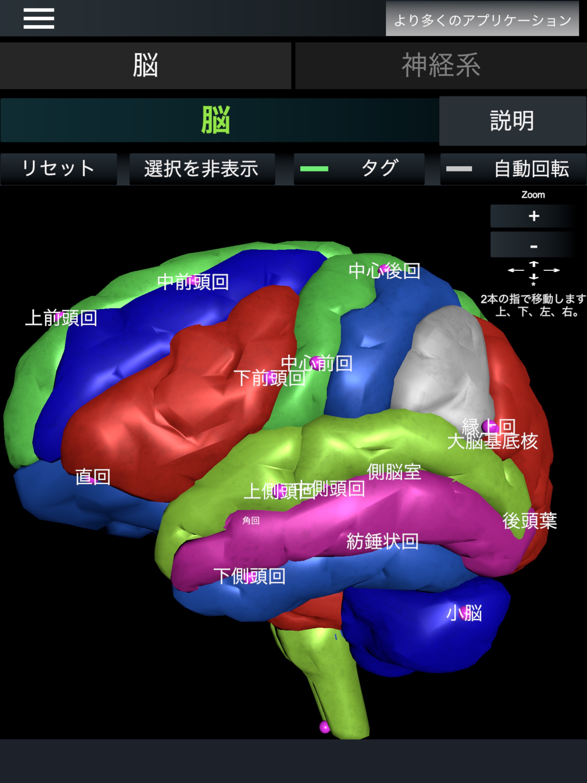 脳と神経系 (解剖学)のおすすめ画像3