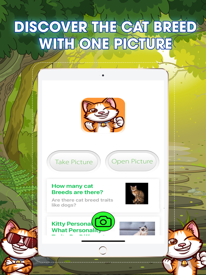 Cat Breeds Identifier PRO