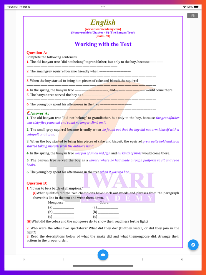 Class 6 English Solutions