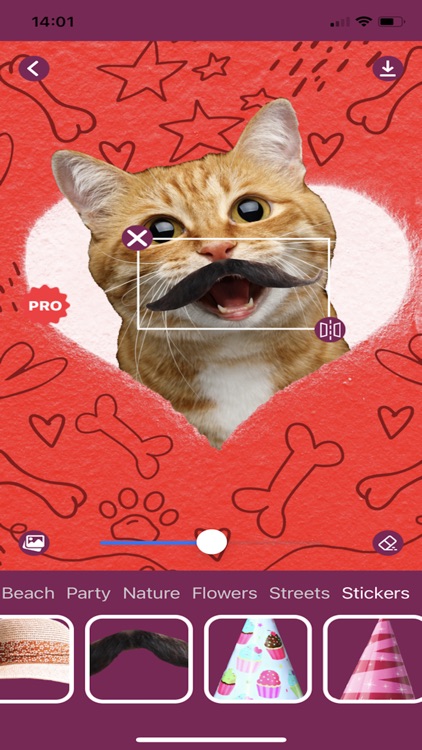 Cat Photo Editor! screenshot-8