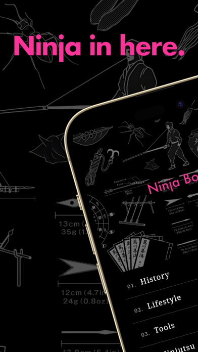 Ninja Book - Remastered - Screenshot