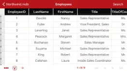 database manager for ms access iphone screenshot 4