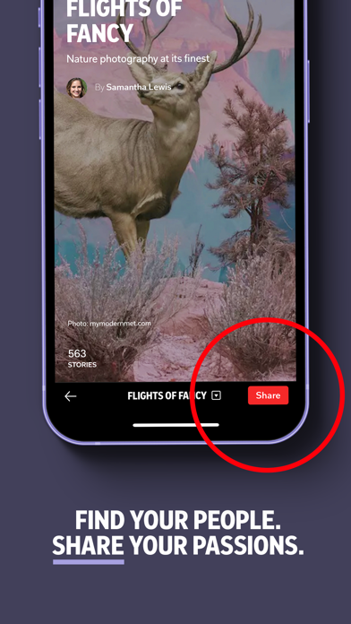 Flipboard: The Social Magazine Screenshot