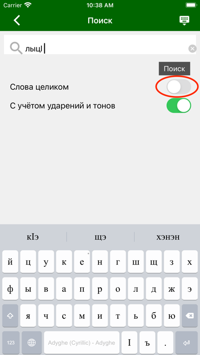Adyghe Dictionary Screenshot