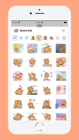 Game screenshot Somu Kat apk