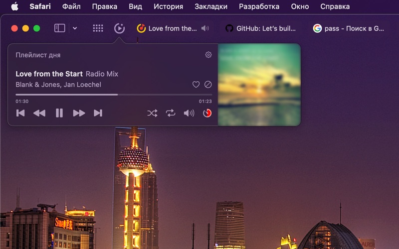 Y.Wave - for Yandex Music Screenshot