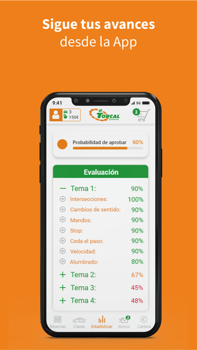 Torcal Autoescuelas Screenshot