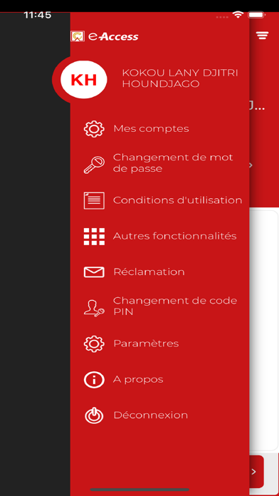 e-Access Screenshot