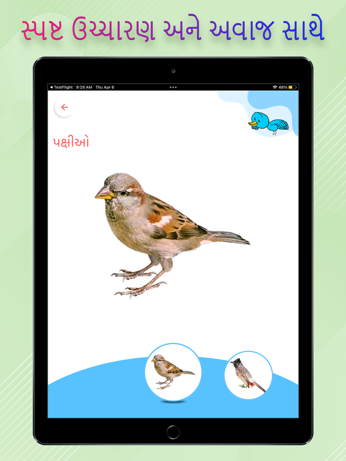 Kids All in One Gujarati