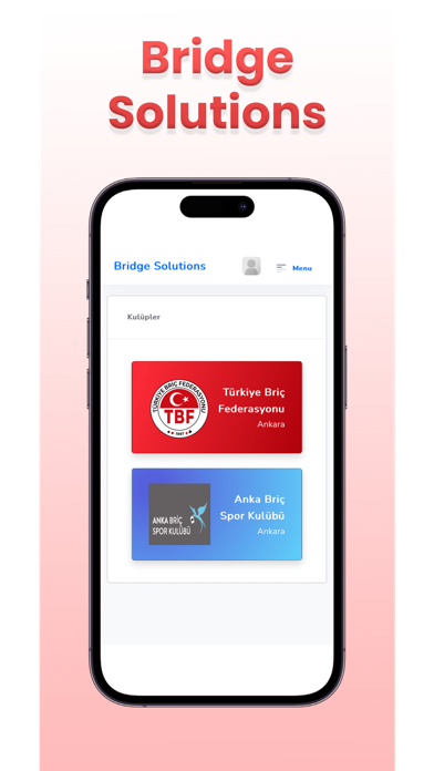 Bridge Solutions Screenshot