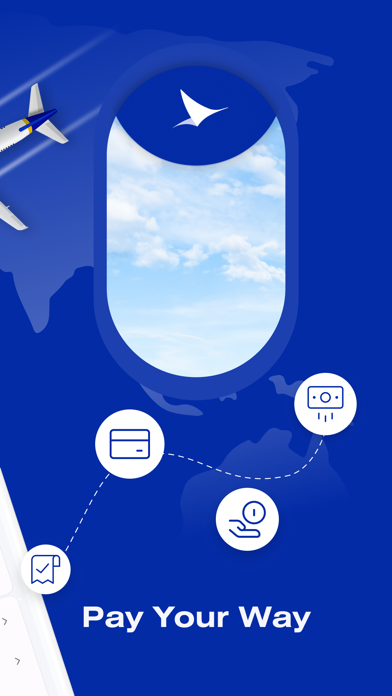 Medsky Airways Screenshot