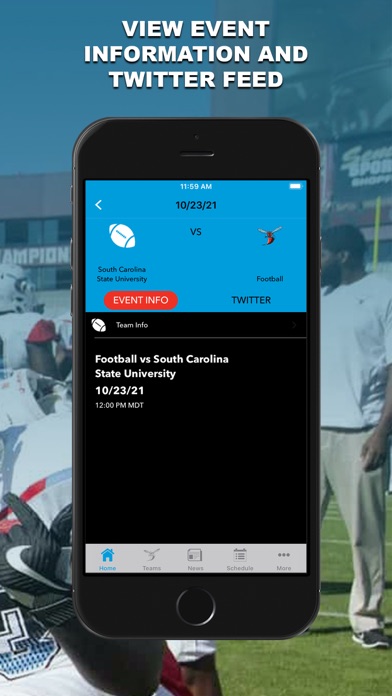 Delaware State Hornets Screenshot