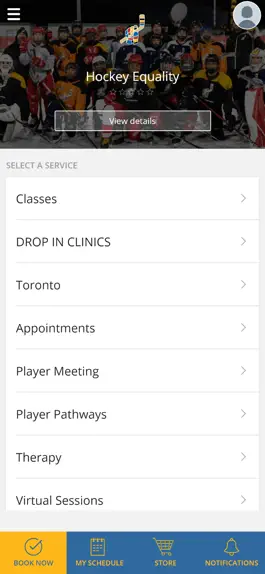 Game screenshot Hockey Equality mod apk