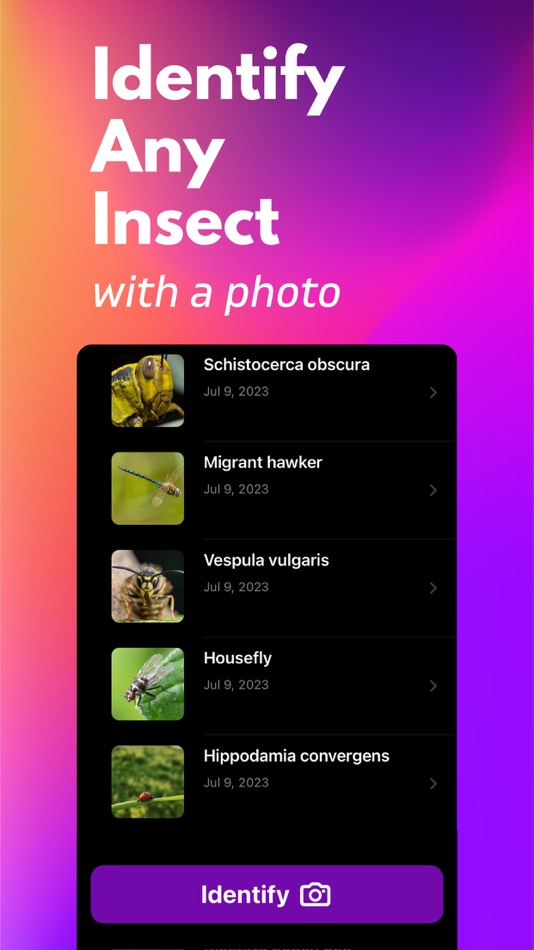 Bug Identifier+ - 1.0.3 - (iOS)