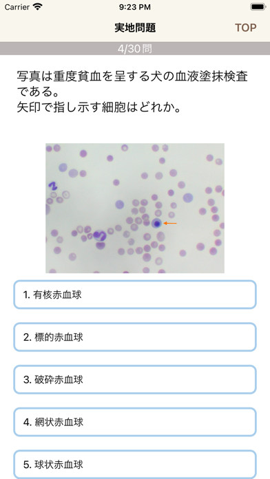 愛玩動物看護師国家試験対策アプリのおすすめ画像6